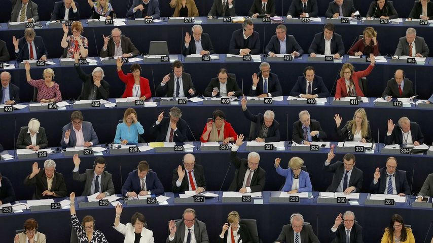 Parlamentarios en el Parlamento Europeo