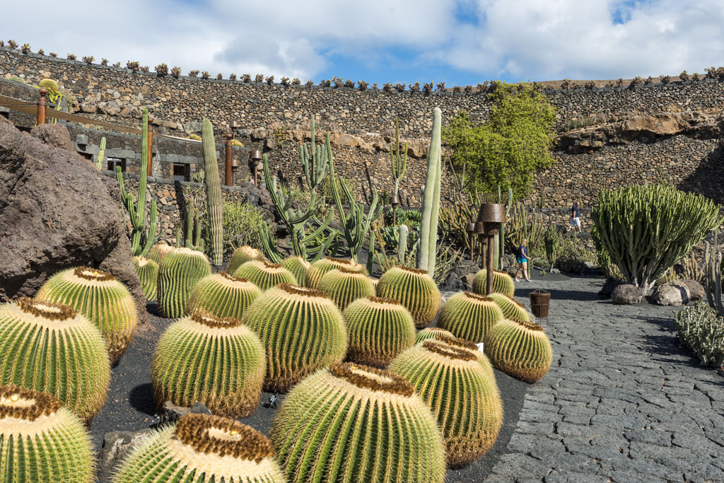 Jardín de cactus en Lanzarote