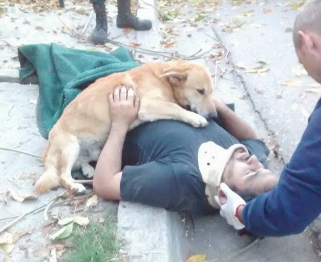 Perro abraza a su dueño accidentado en Argentina