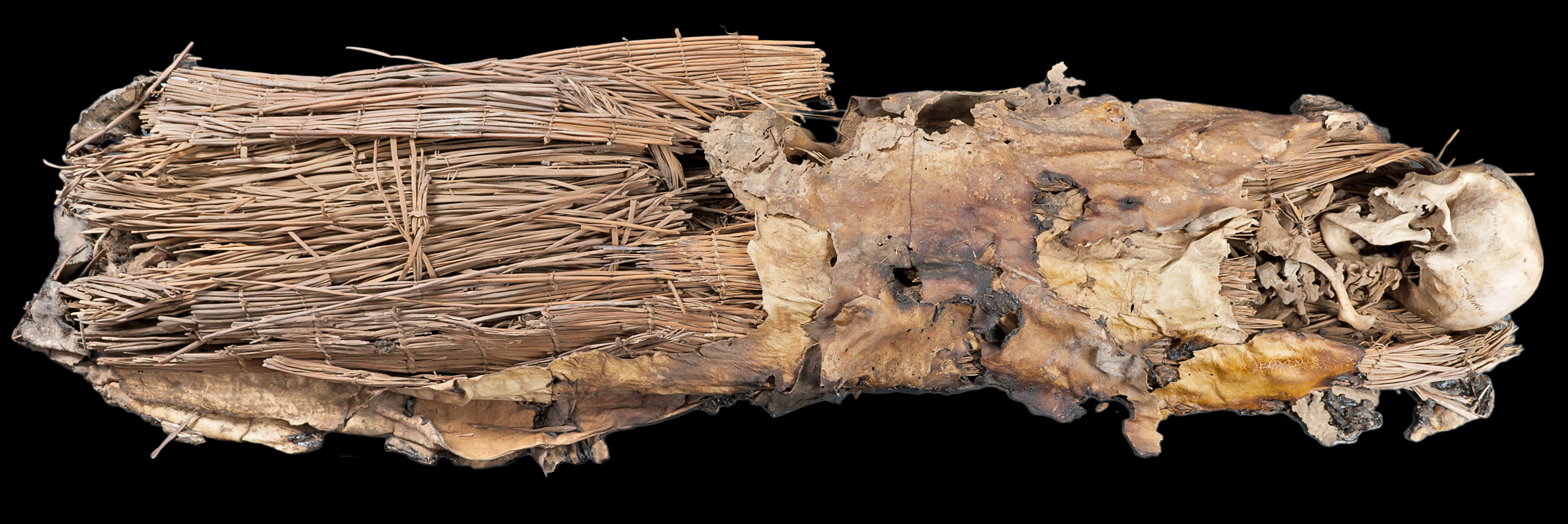 Momia del Museo Canario en 3D