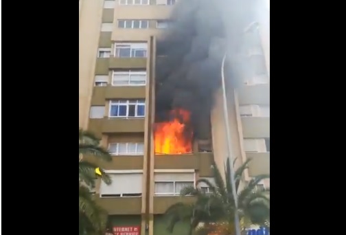 Fotos: @PoliciaLPA