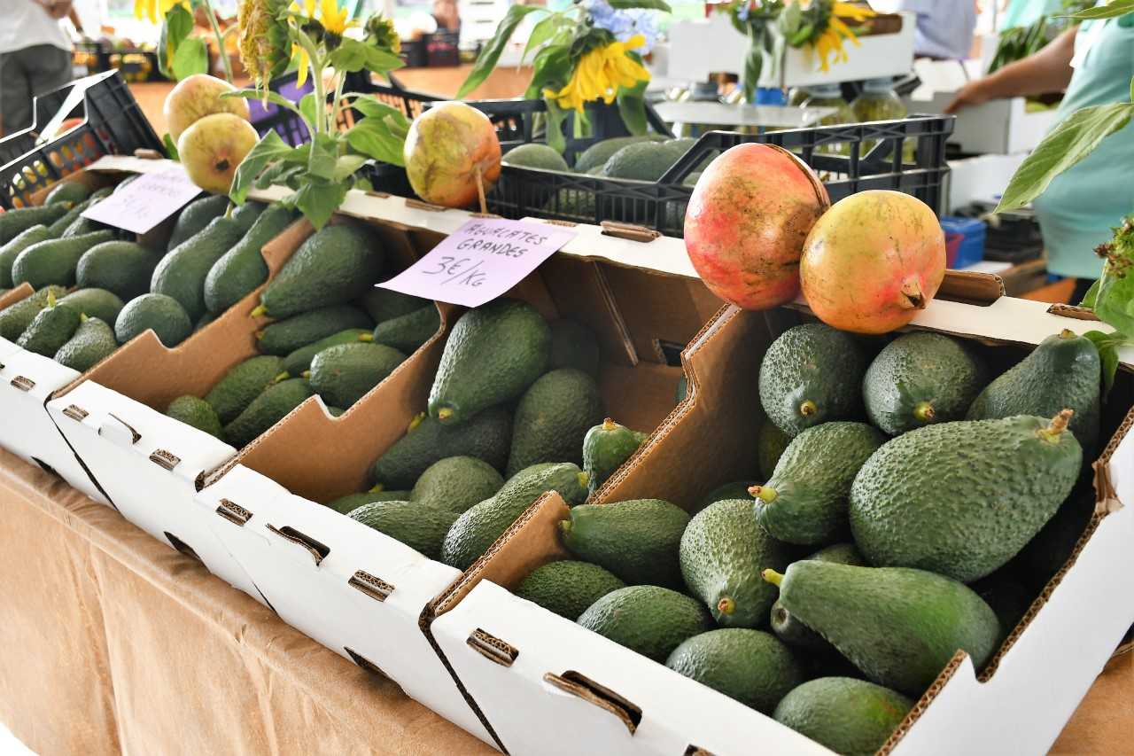 La IV Feria del Aguacate de Mogán recibe a 10.000 personas Canarias