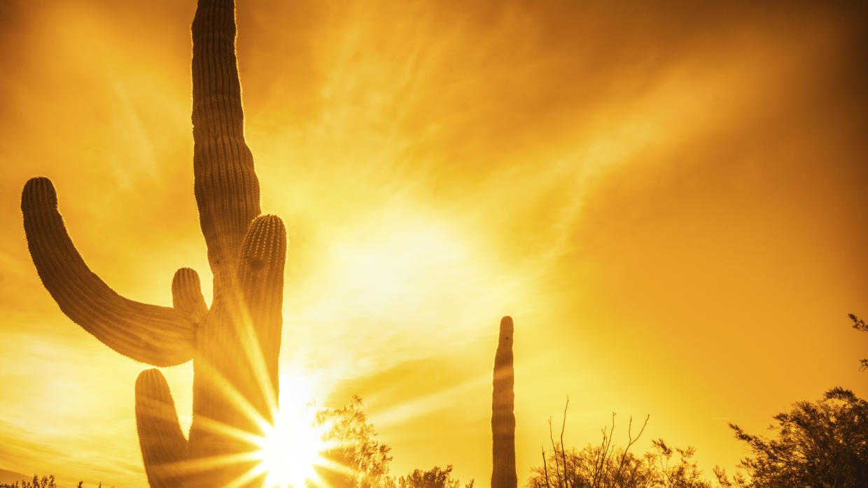 Alertas por calor