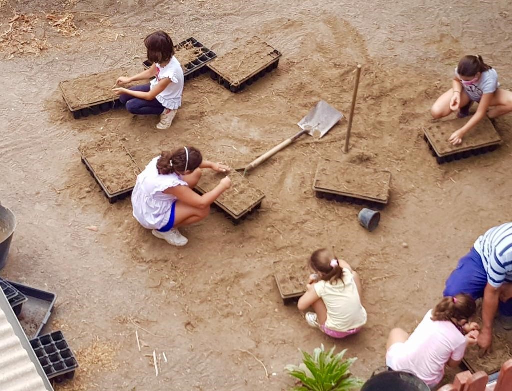 Campus de Verano en La Casa Verde, Telde. Gran Canaria