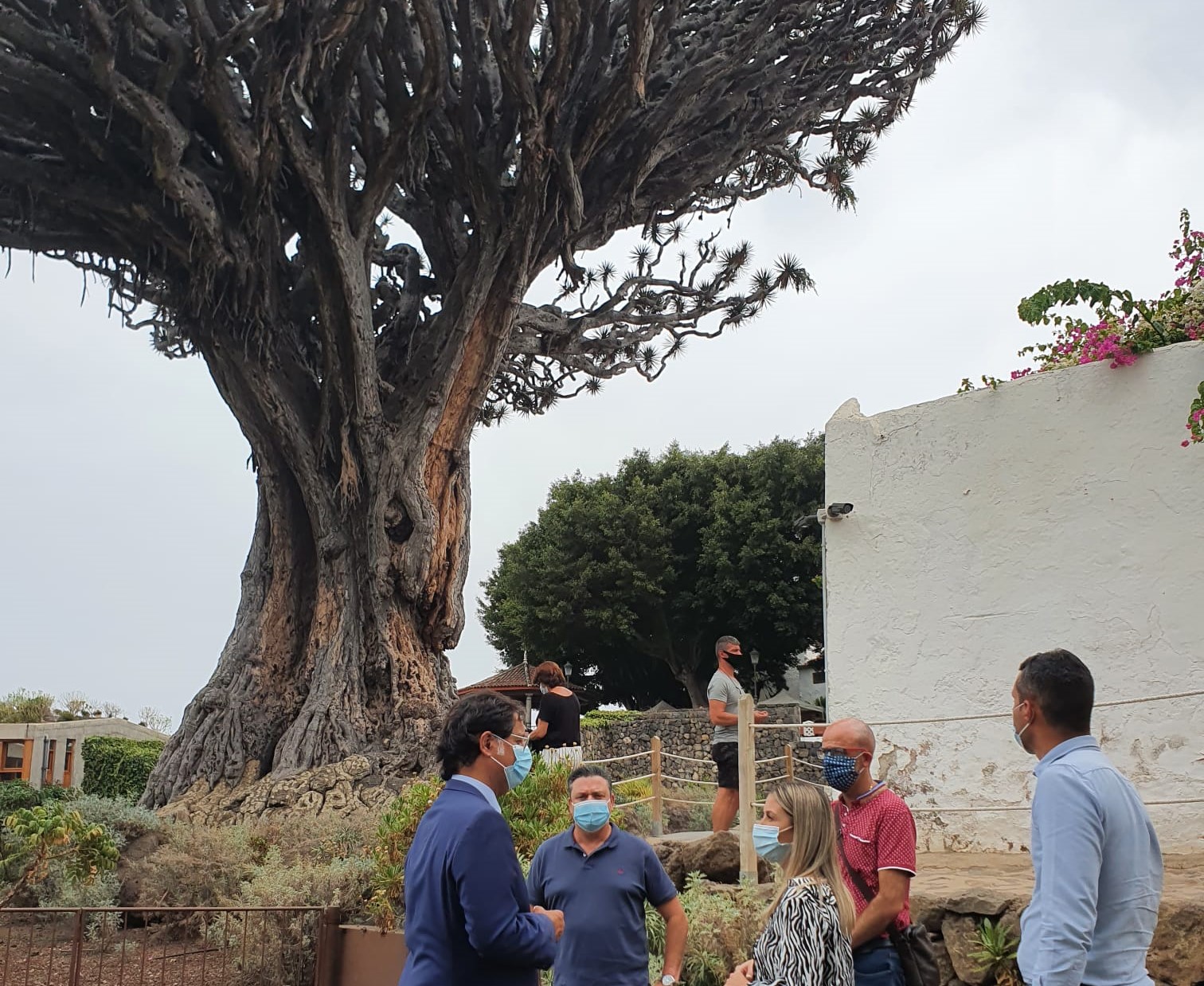 Teresa Berástegui visita Icod de los Vinos. Tenerife