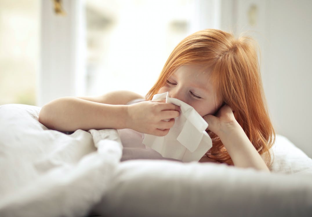 Expectorantes naturales que te ayudarán a aliviar la tos