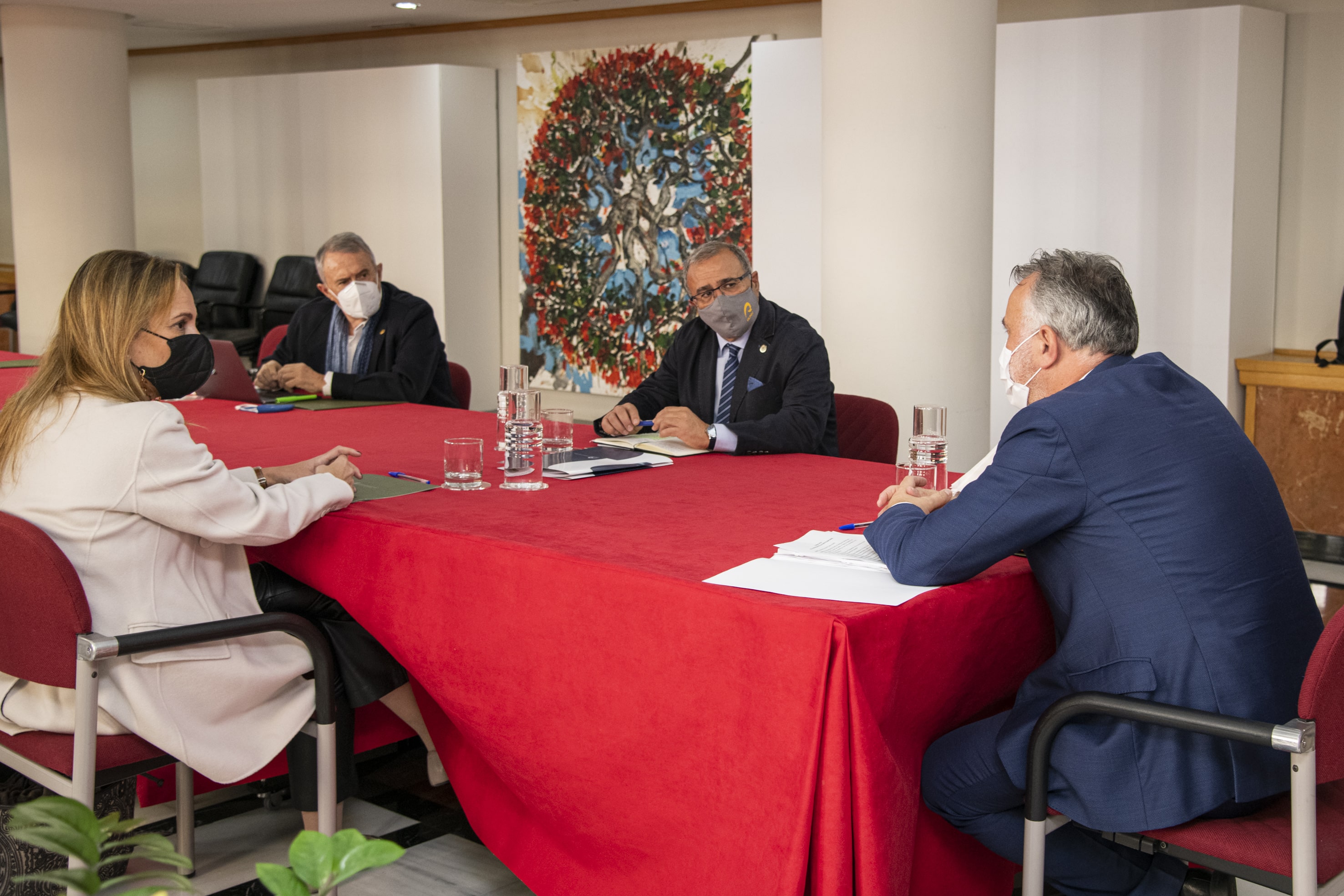 El Consejo Social de la ULPGC presenta iniciativa "Canarias Importa" al Presidente del Gobierno de Canarias / CanariasNoticias.es