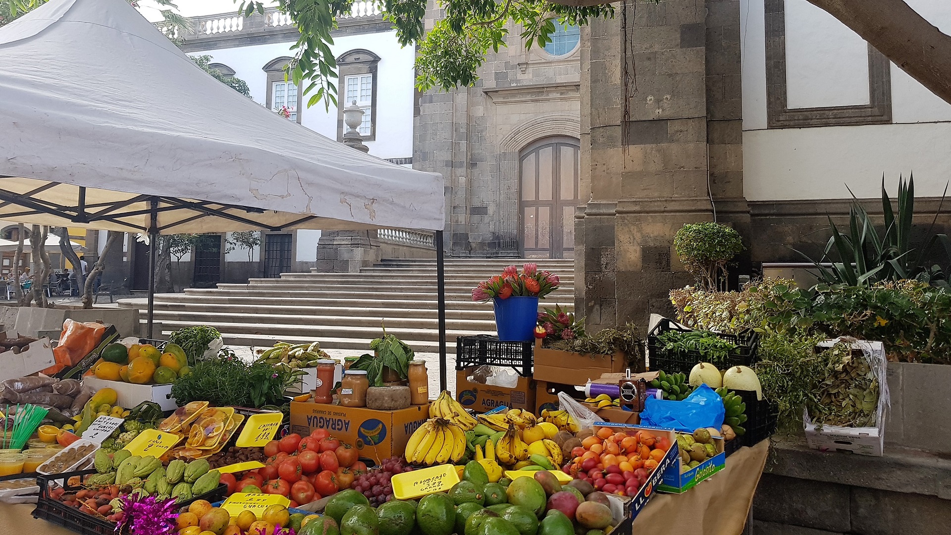 Mercado de Vegueta, Las Palmas de Gran Canaria / CanariasNoticias.es