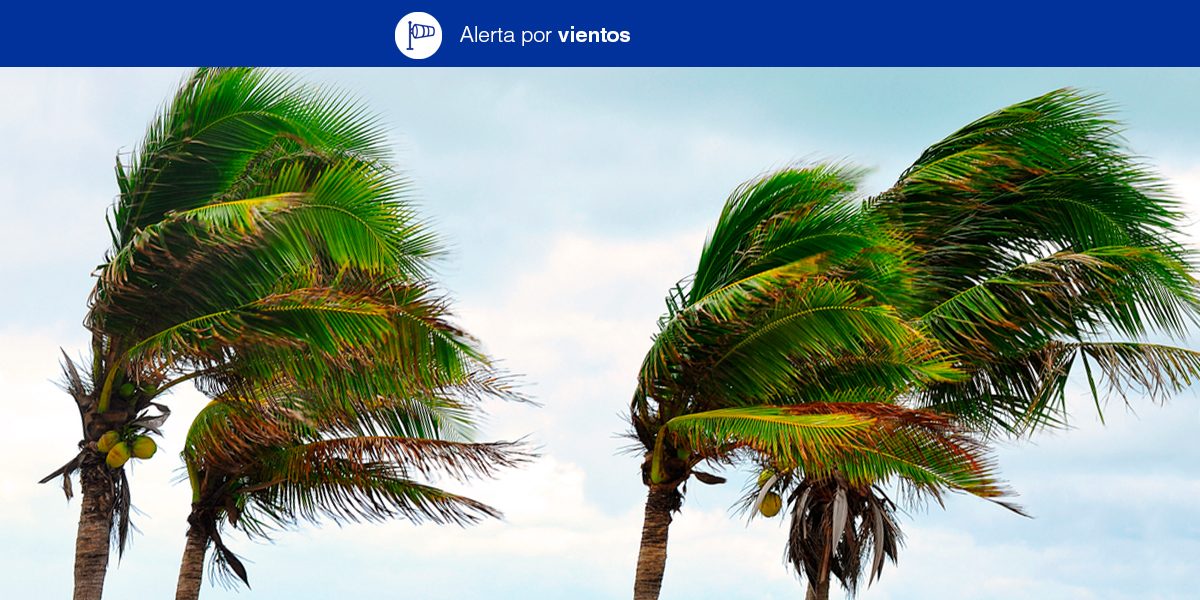 Viento fuerte en Canarias / CanariasNoticias.es