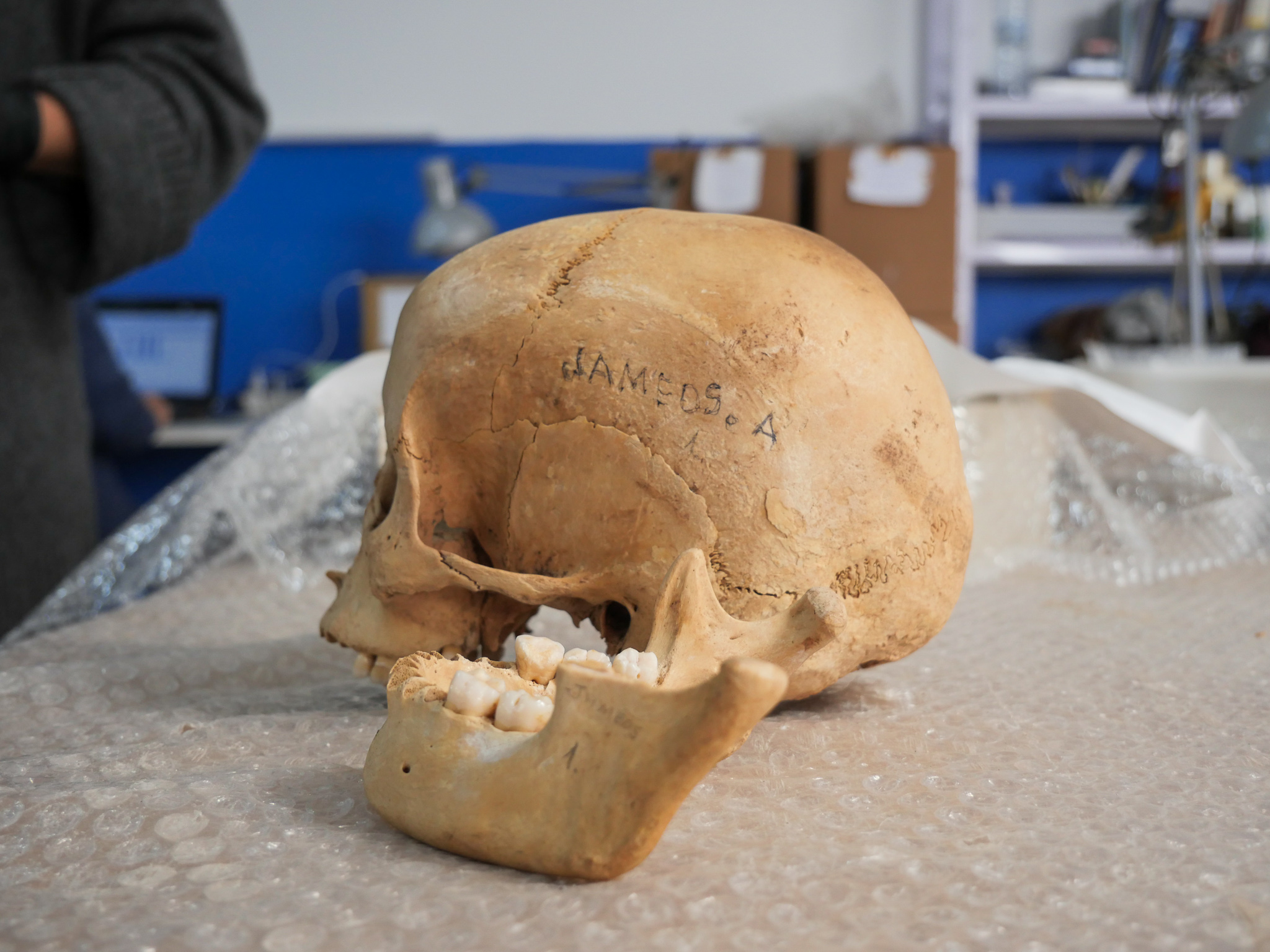 Estudio de los huesos más antiguos de Lanzarote y La Gomera / CanariasNoticias.es