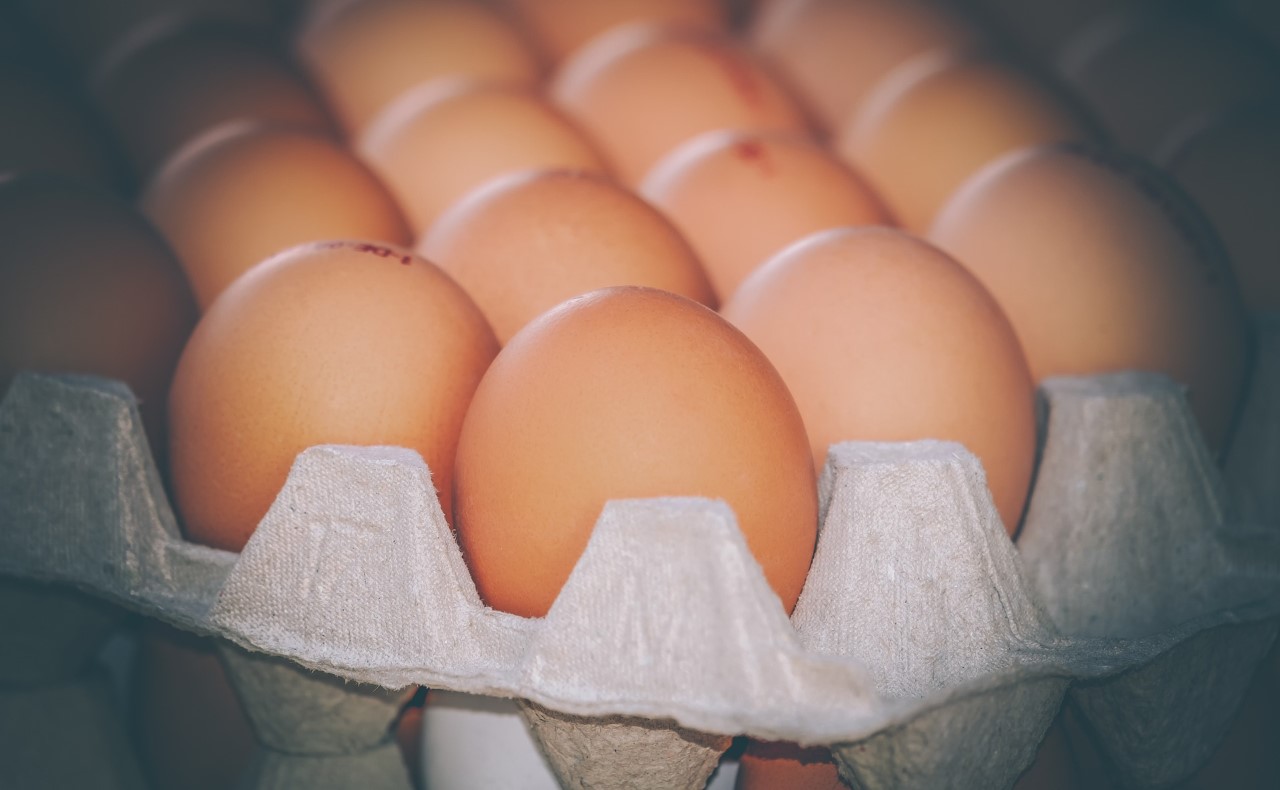 Huevos/ canariasnoticias