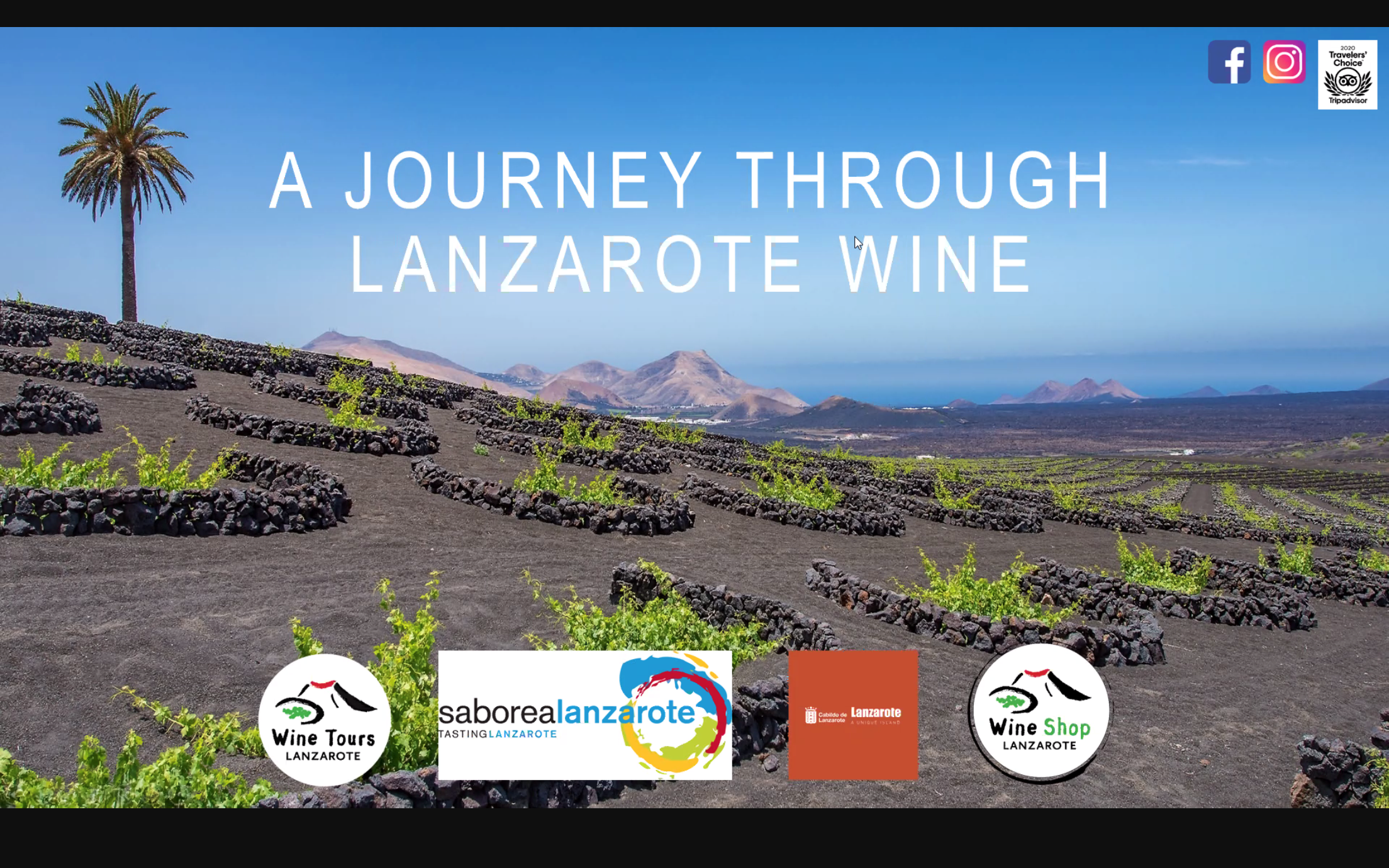 Cata  ‘online’ de vinos y quesos de Lanzarote dirigida a la prensa alemana / CanariasNoticias.es