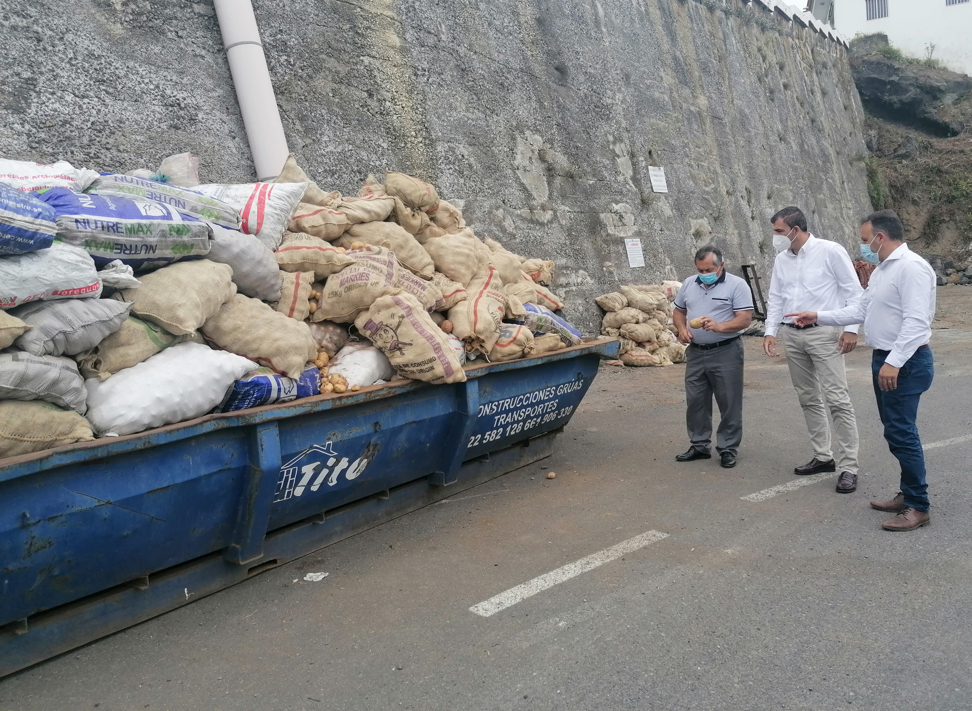 Retirados 218.000 kilos de papas “bichadas” por la polilla guatelmateca / CanariasNoticias.es