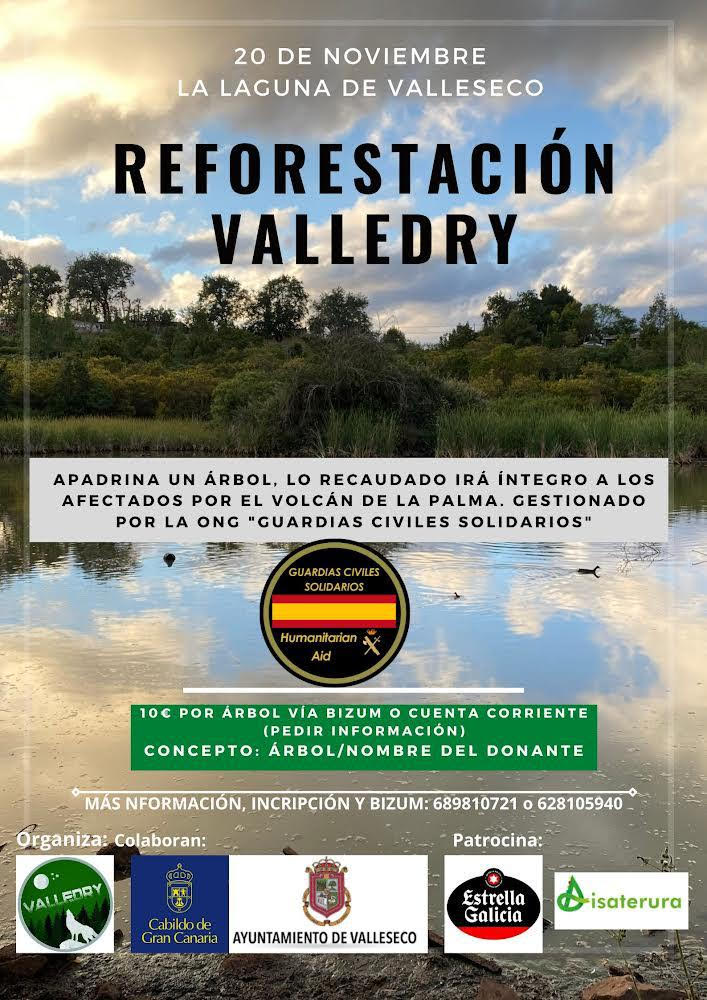 Reforestación en Valleseco/ canariasnoticias.es
