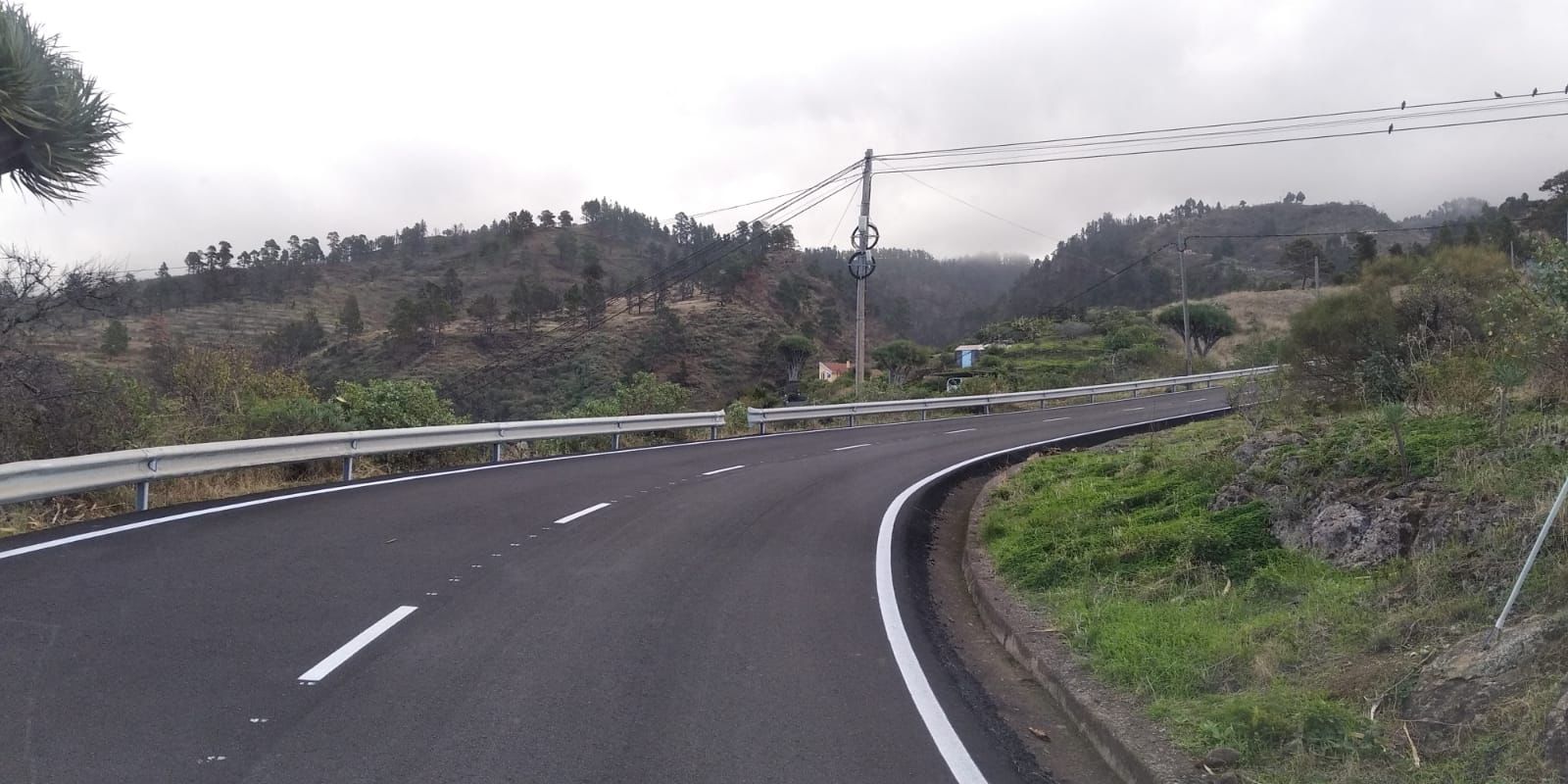 Repavimentación de la carretera entre Las Tricias y Santo Domingo/ canariasnoticias.es