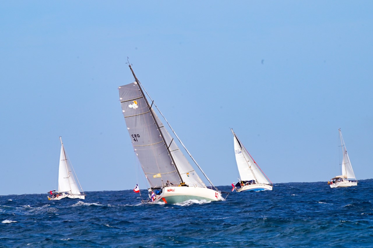  Regata ARC January. Las palmas de Gran Canaria/ canariasnoticias.es