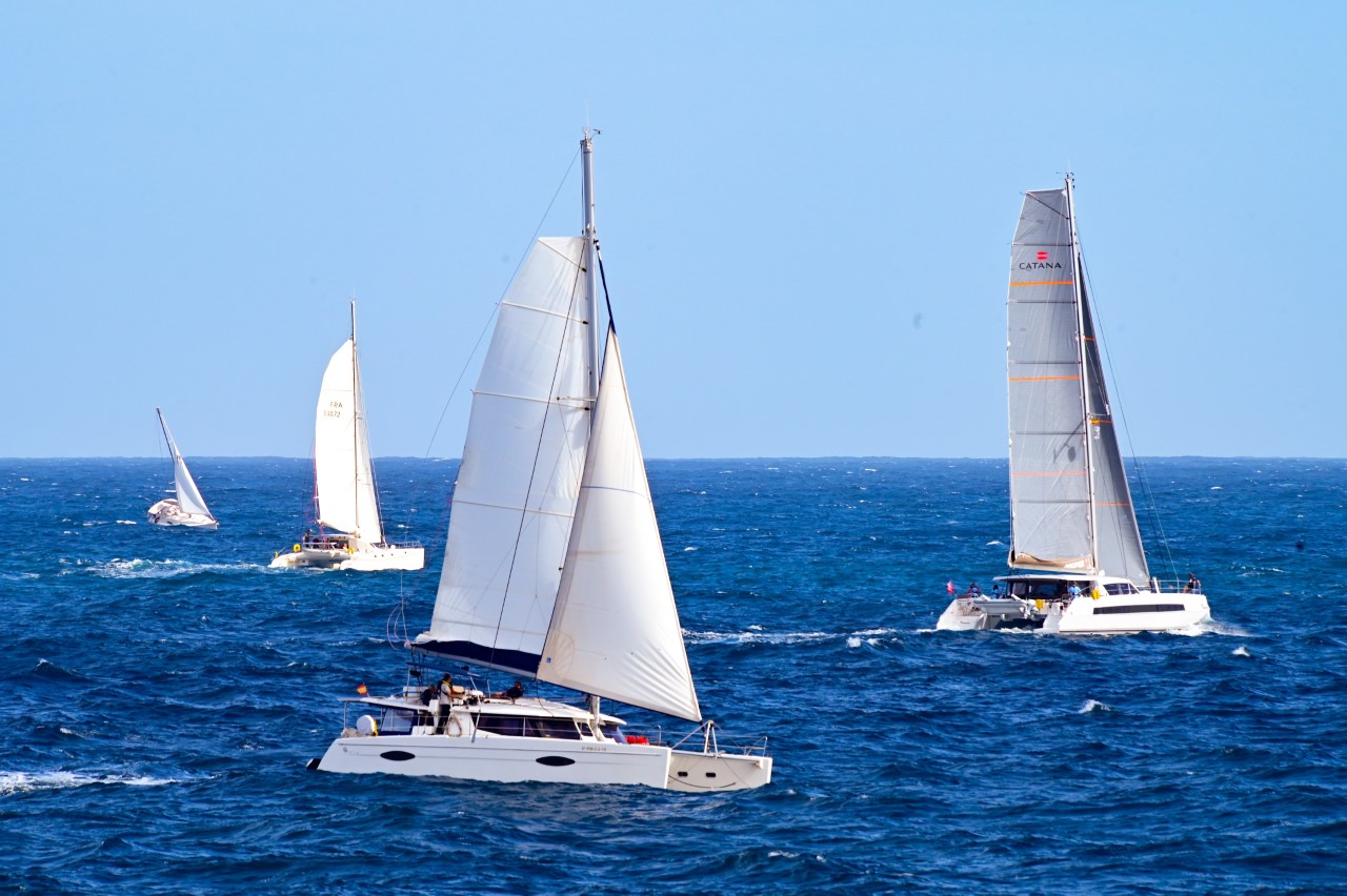  Regata ARC January. Las palmas de Gran Canaria/ canariasnoticias.es