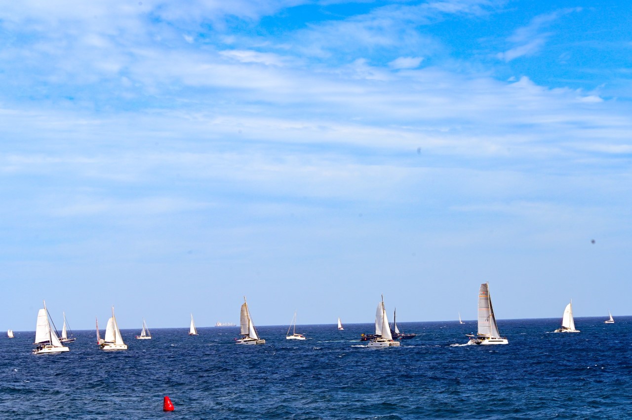  Regata ARC January. Las palmas de Gran Canaria/ canariasnoticias.es