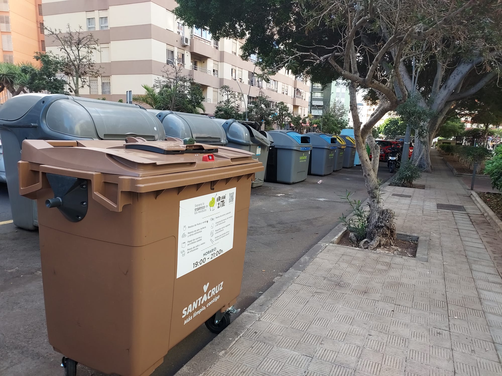 Contenedores de reciclaje orgánico de Santa Cruz de Tenerife / CanariasNoticias.es