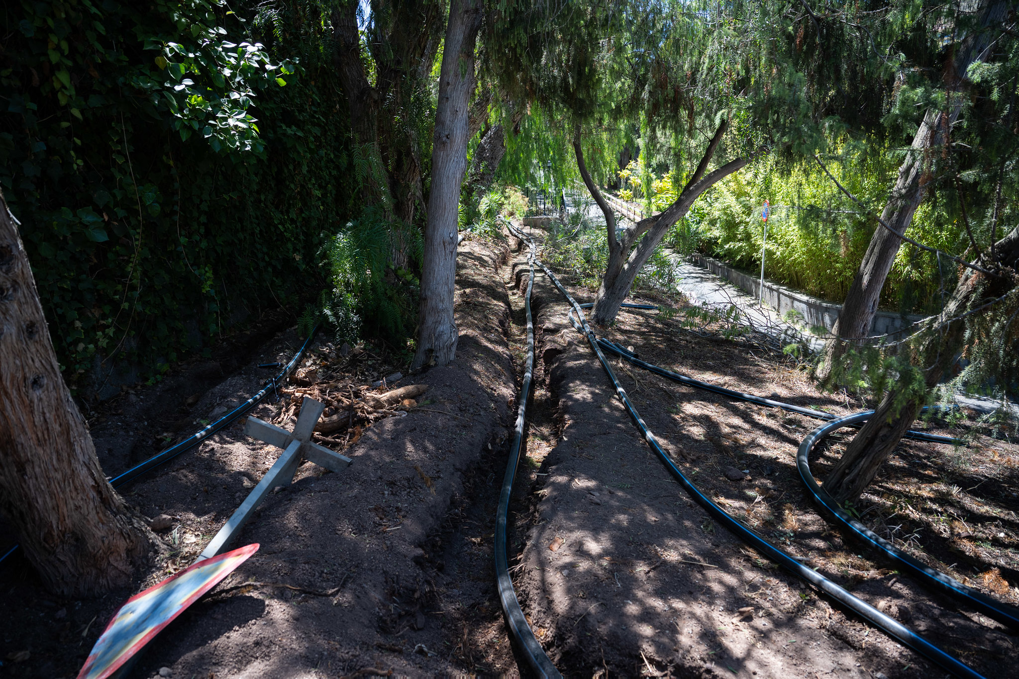 Obras de mejora y rehabilitación del Jardín Botánico Canario / CanariasNoticias.es