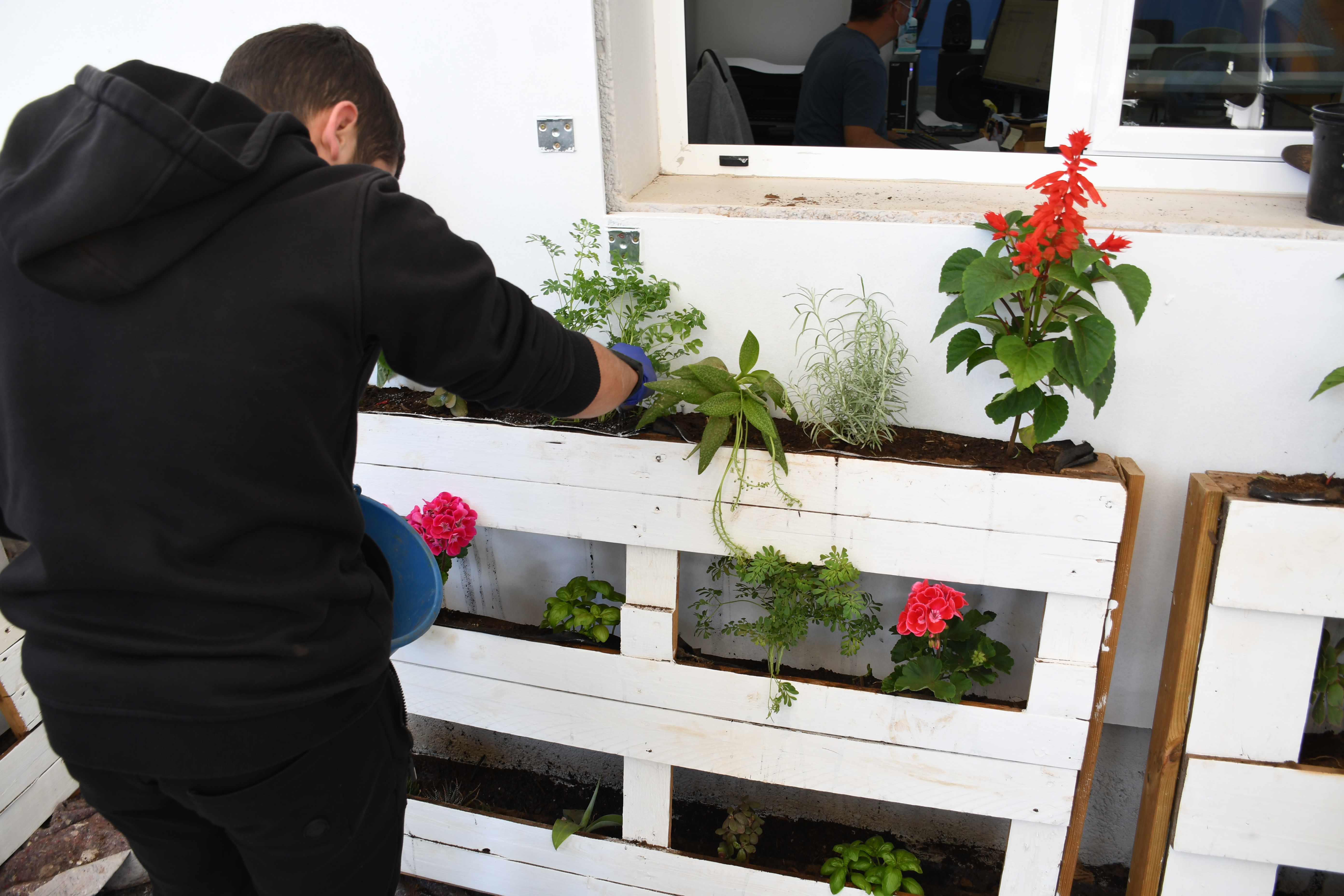 Los jóvenes de Valsequillo realizan un jardín vertical / CanariasNoticias.es 