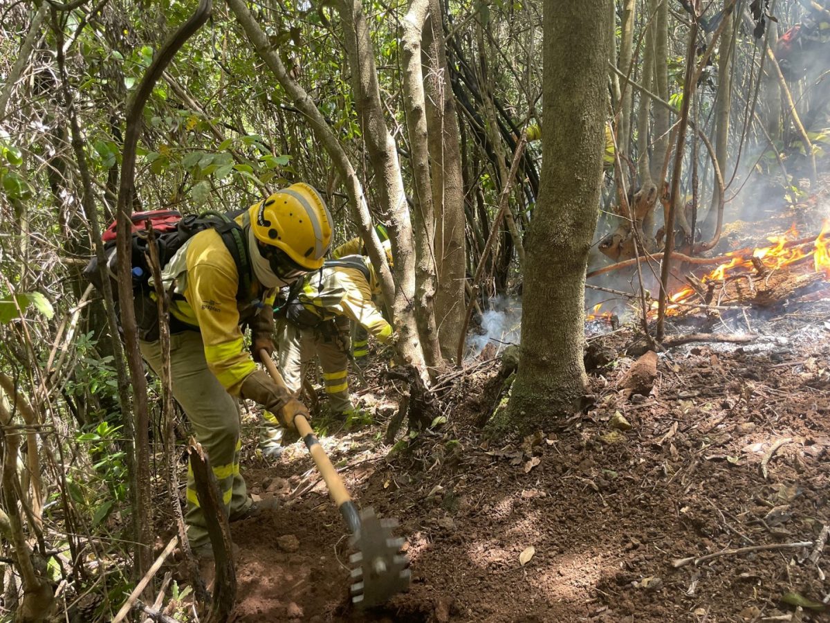 Equipos de intervención y refuerzo en incendios forestales (EIRIF) en Canarias / CanariasNoticias.es