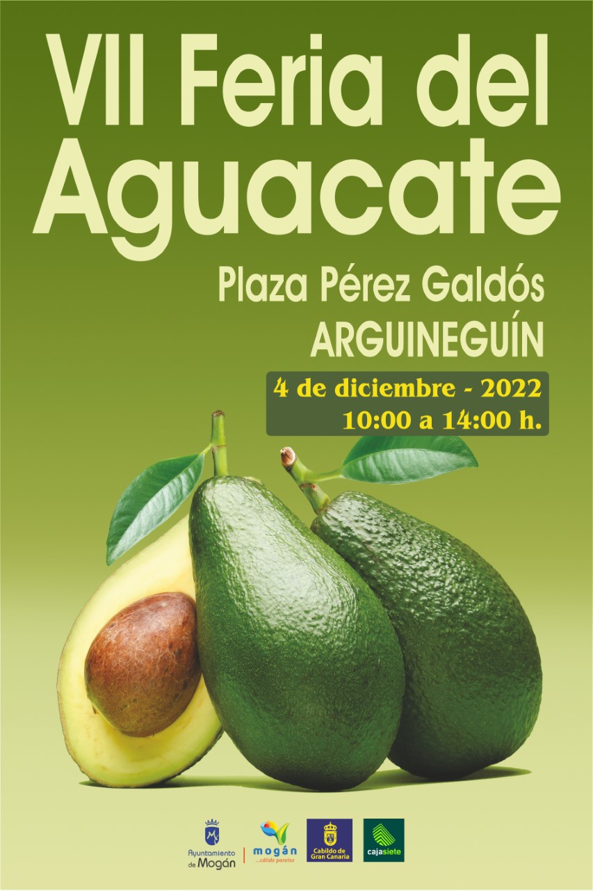 Feria del Aguacate en Mogán/ canariasnoticias.es