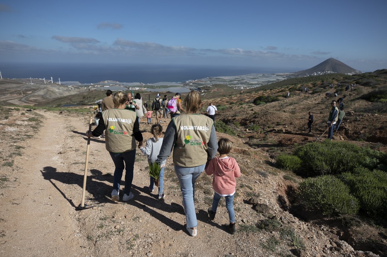 HiperDino y Chocolates Trapa participan en una jornada de reforestación en Gáldar