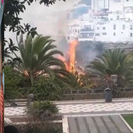 Incendio Parque Municipal de Arucas/ canariasnoticias.es