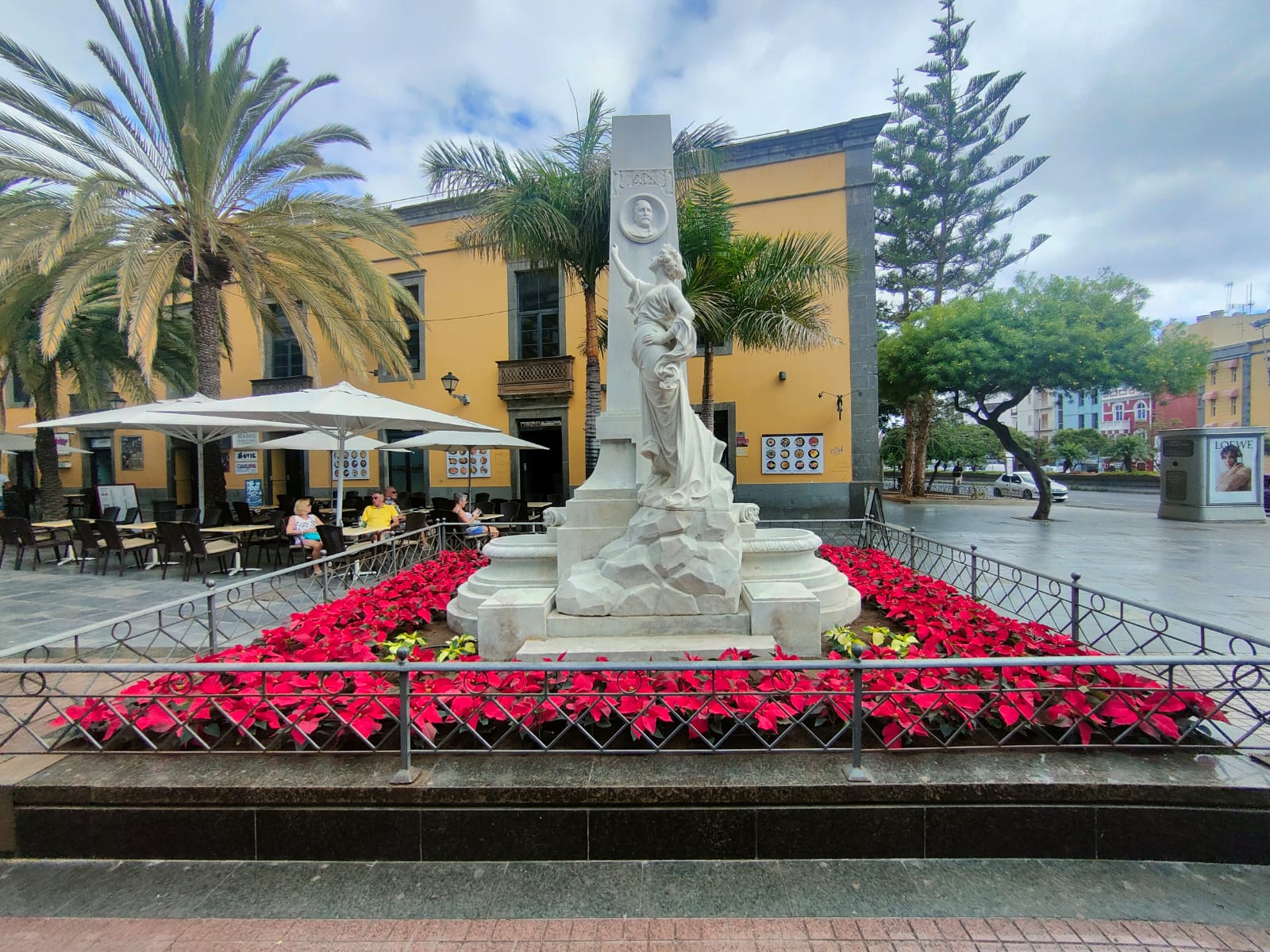 Plantación de Flores de Pascua en Las Palmas de Gran Canaria / CanariasNoticias.es