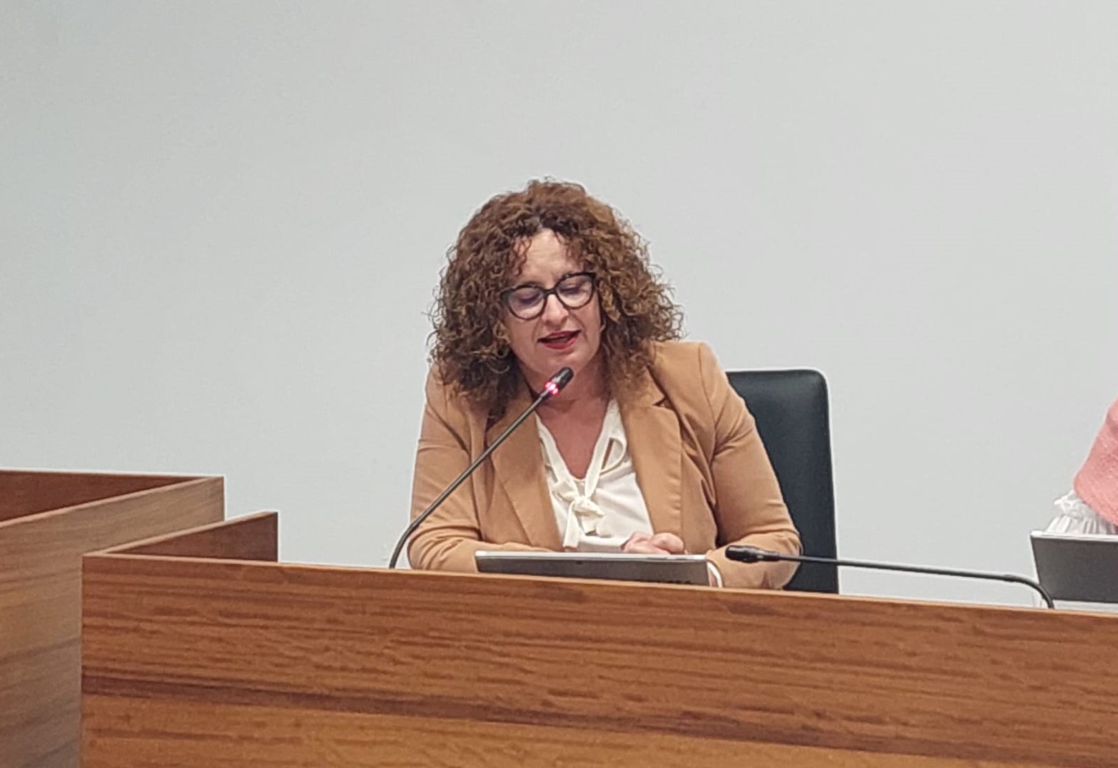 Nieves Hernández, consejera del Cabildo de La Palma / CanariasNoticias.es