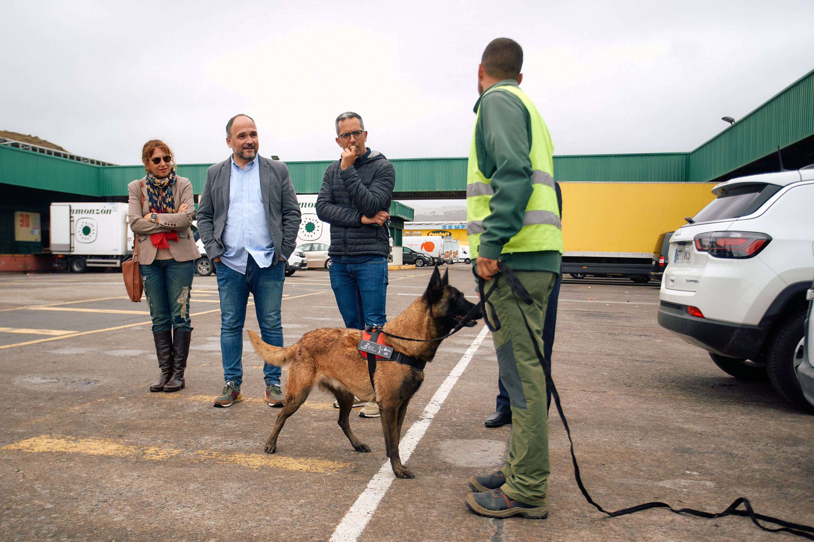 Unidad canina se incorpora al proyecto #STOPCULEBRAREAL / CanariasNoticias.es 