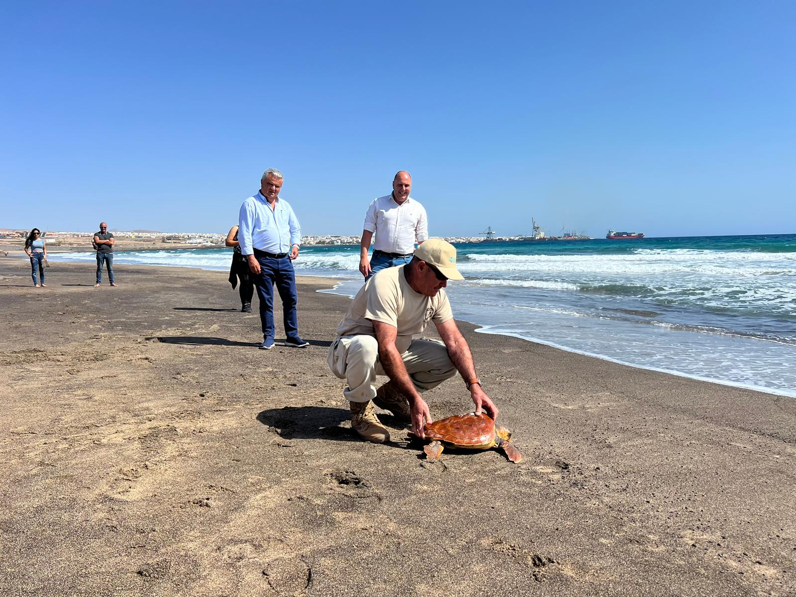 Suelta de tortugas en Playa Blanca / CanariasNoticias.es