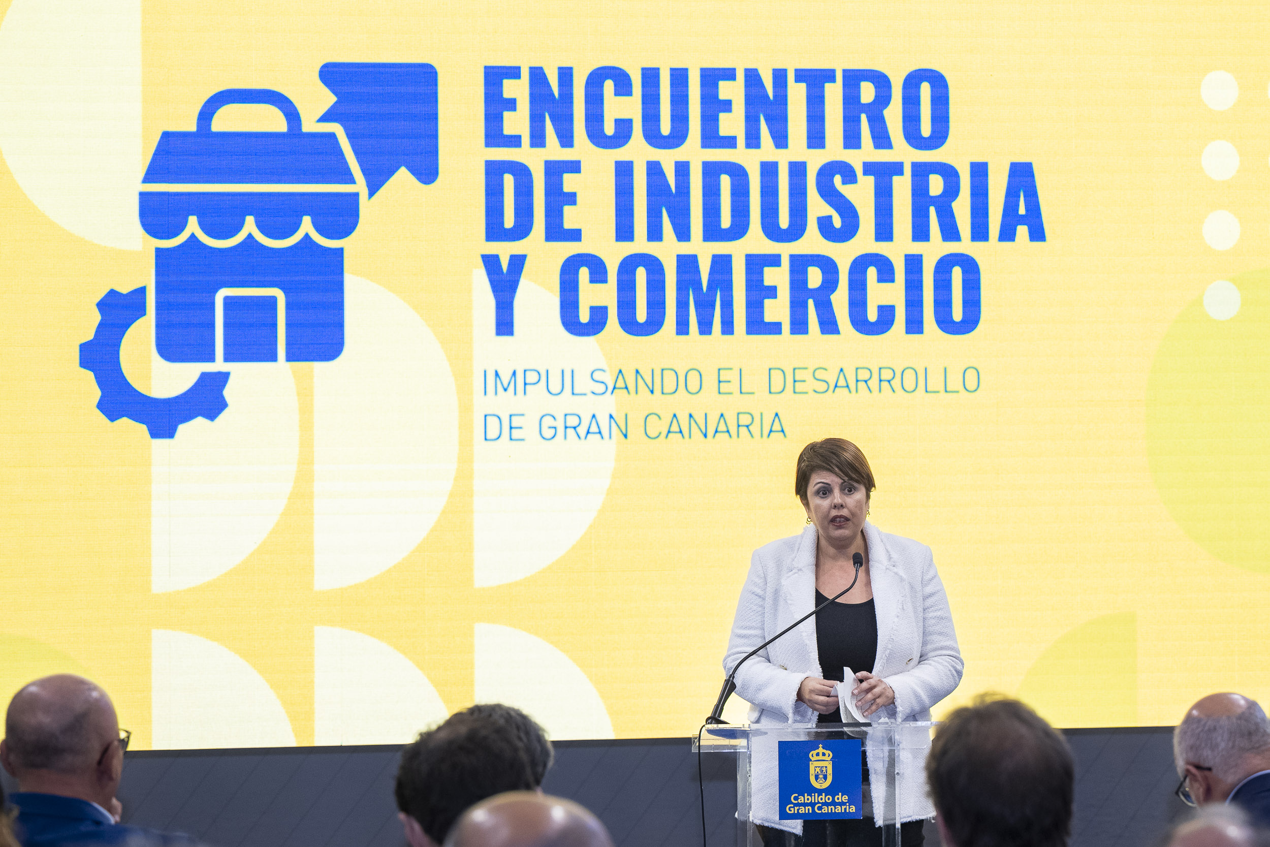 Plan Estratégico de Áreas Industriales de Gran Canaria / CanariasNoticias.es 