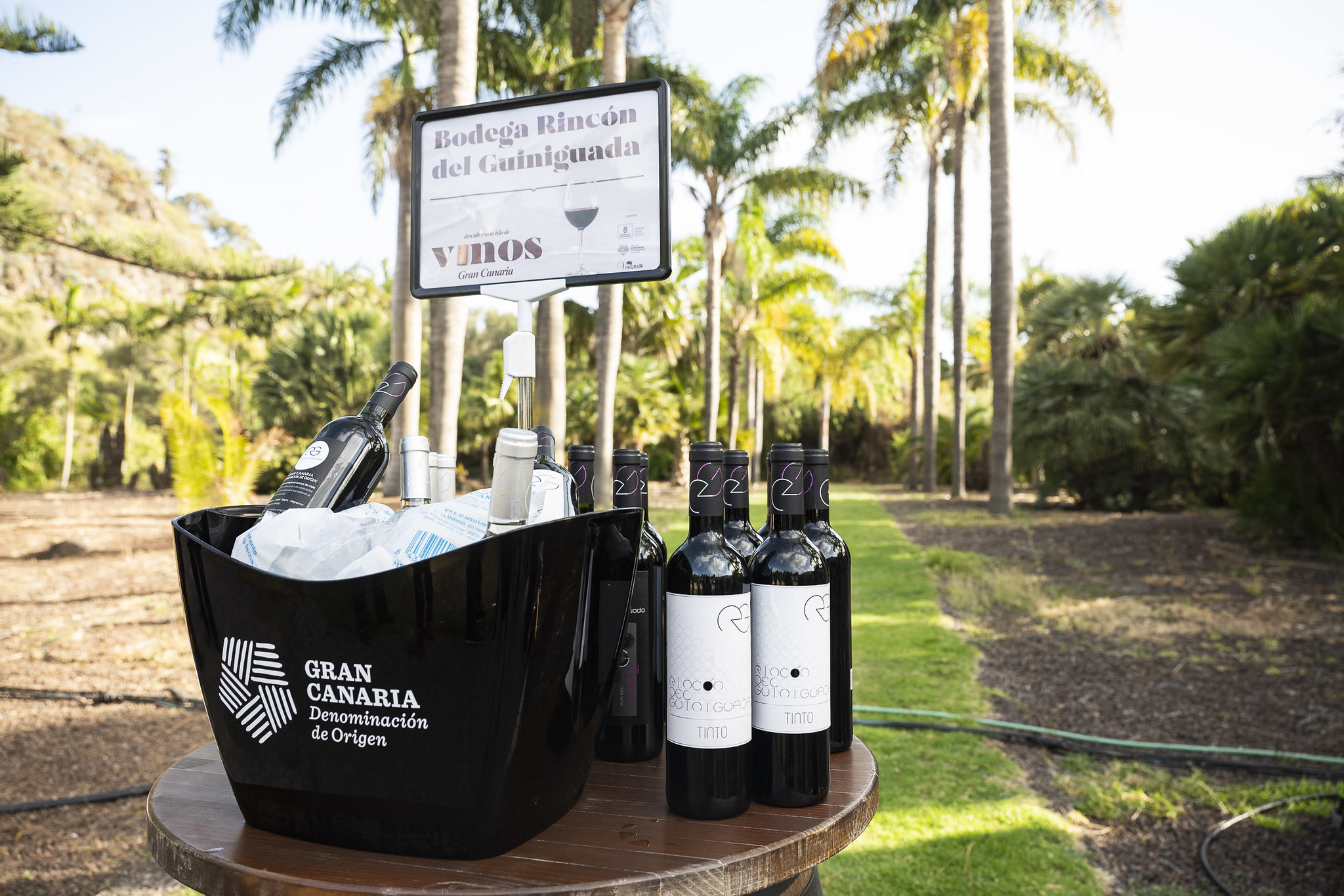 Los vinos de Gran Canaria descorchan la primera botella del 2022 / CanariasNoticias.es