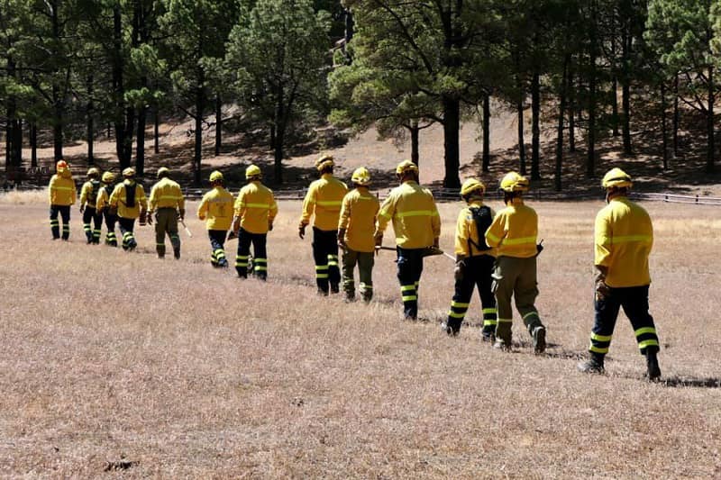 Aprobado el Plan de Prevención de Incendios Forestales en El Hierro / CanariasNoticias.es 