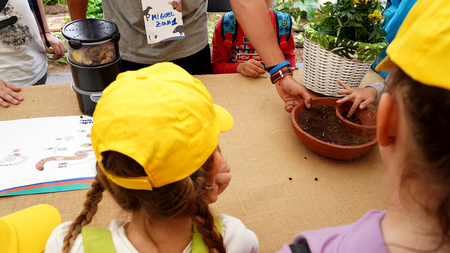 Feria escolar en Gran Canaria / CanariasNoticias.es 