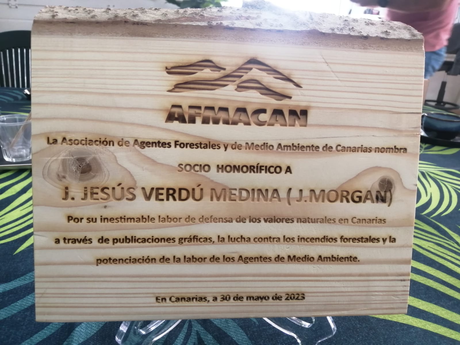 J. Morgan nombrado socio de honor de AFMACAN / CanariasNoticias.es 