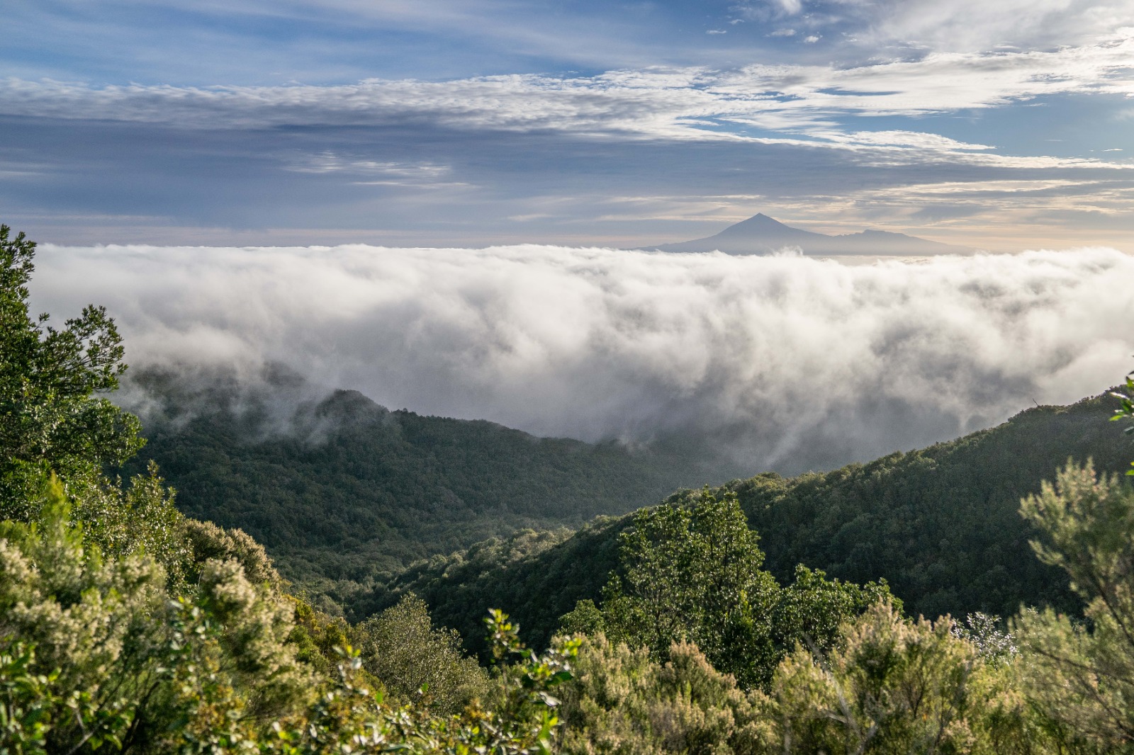 Reserva de la Biosfera de La Gomera / CanariasNoticias.es 