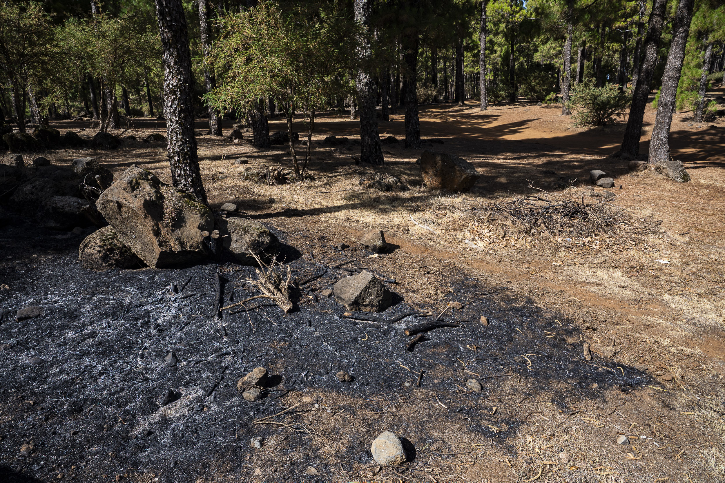 Incendio forestal en Tejeda / CanariasNoticias.es 