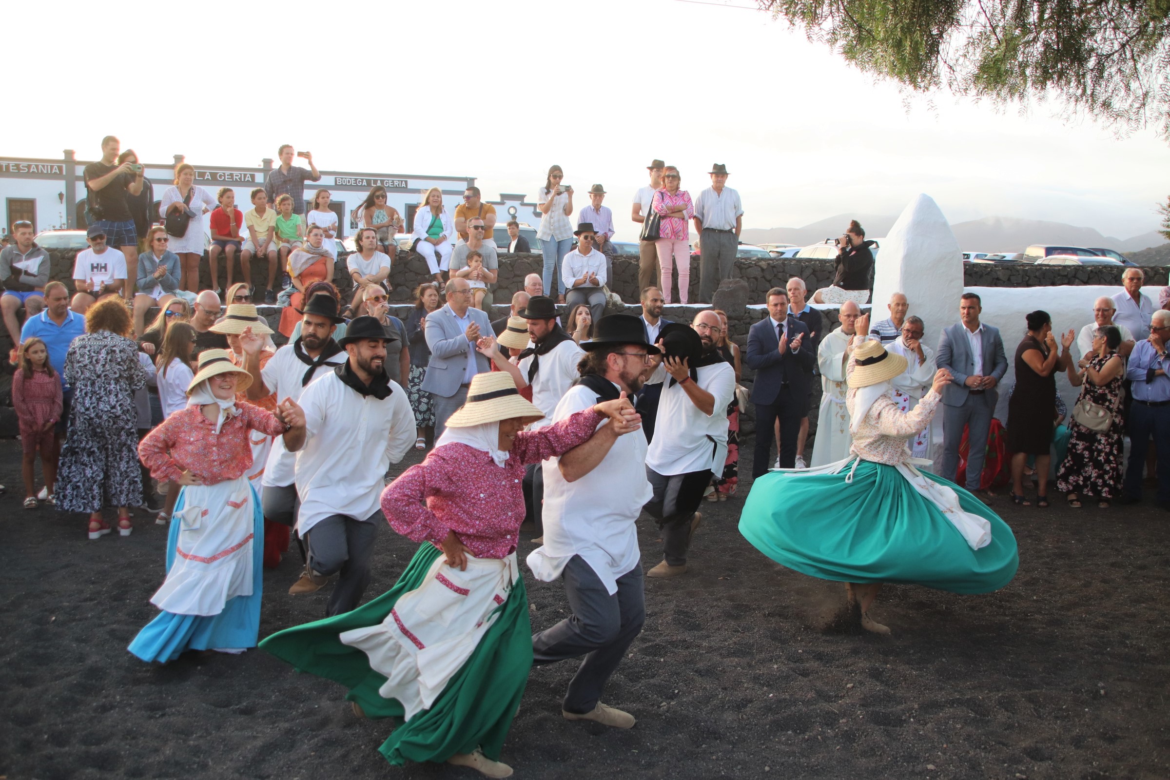 Vendimia tradicional con camellos / CanariasNoticias.es 