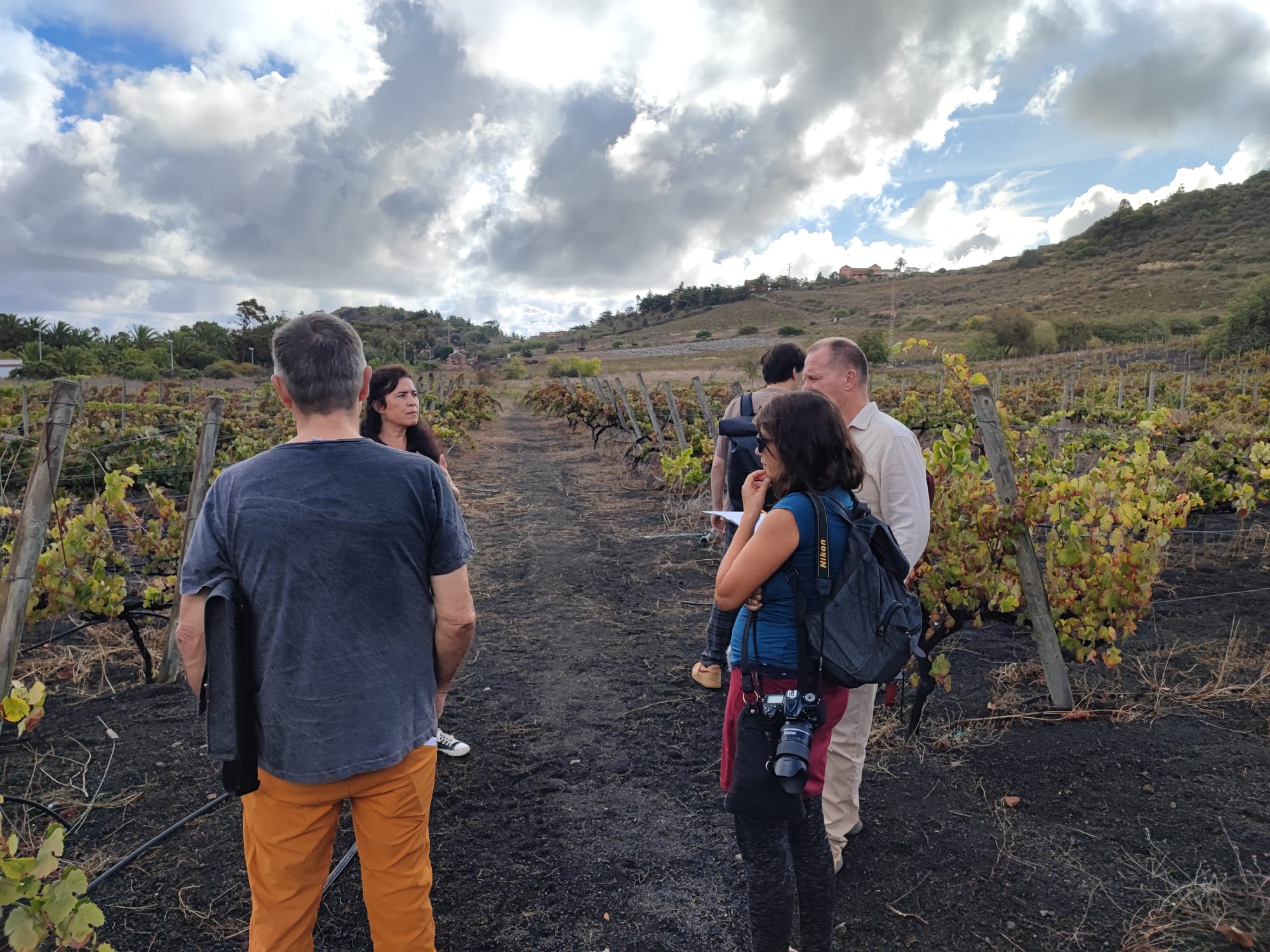 Periodistas alemanes conocen la Ruta del Vino de Gran Canaria / CanariasNoticias.es 