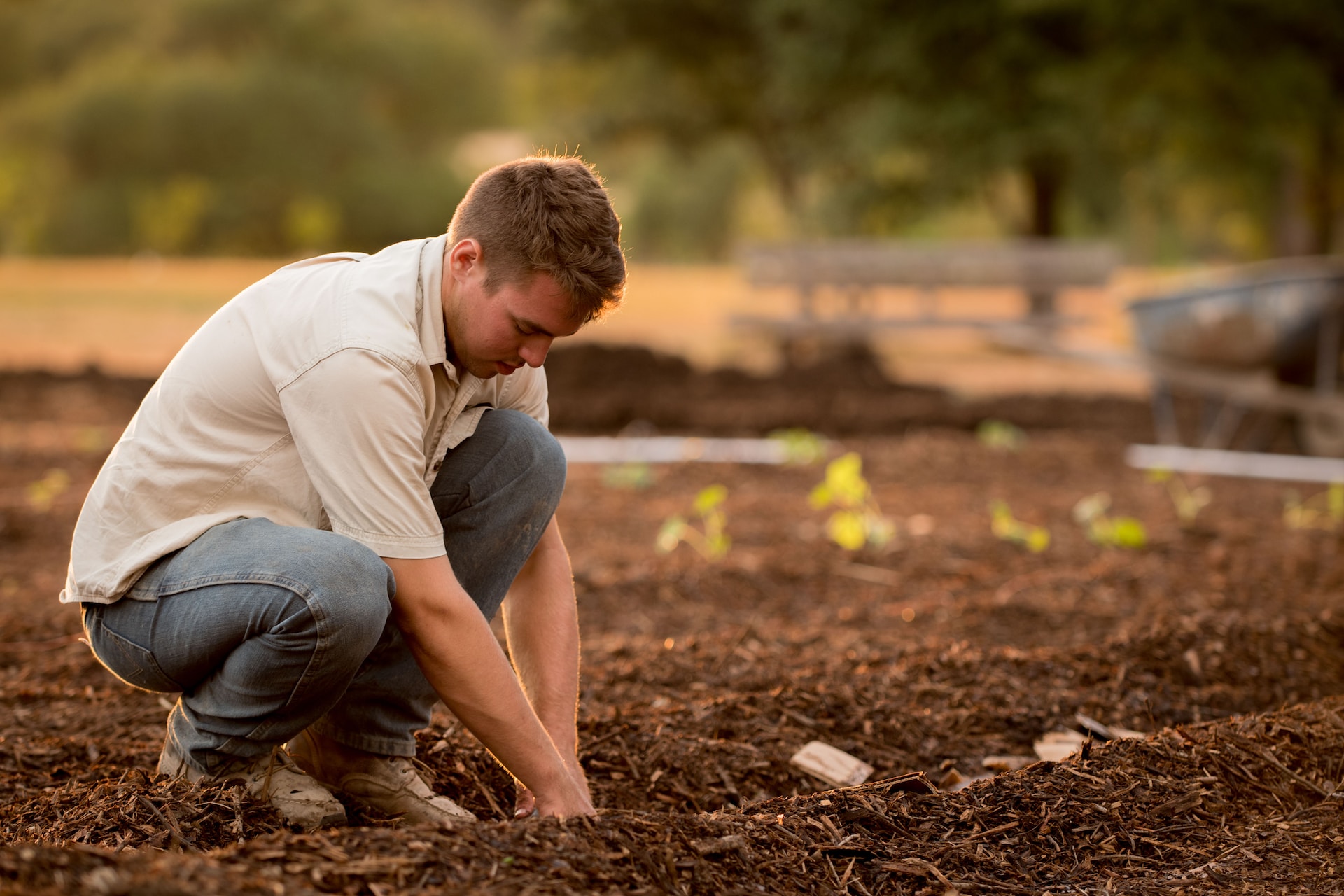 Agricultor joven