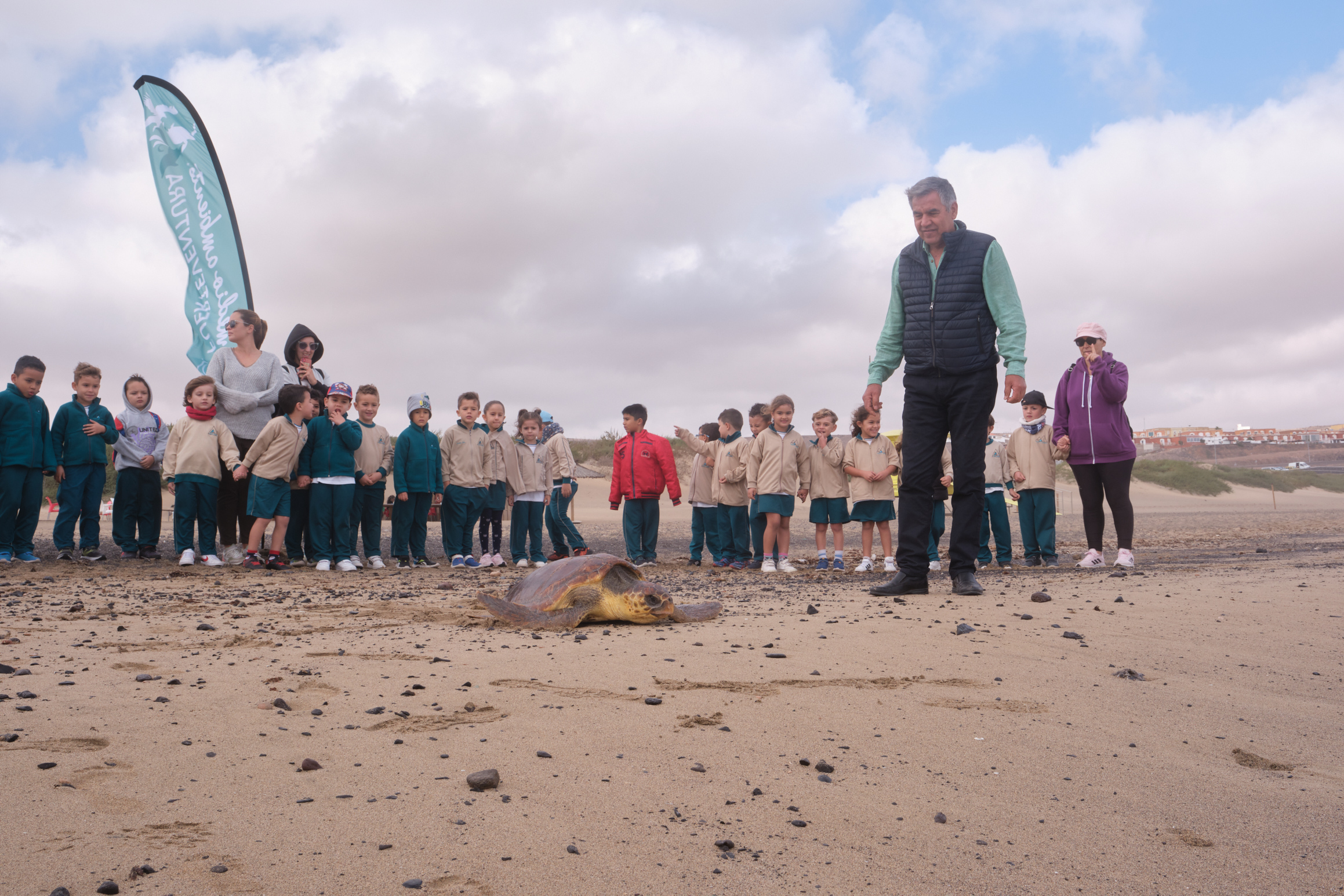 Suelta de tortugas en Playa Blanca / CanariasNoticias.es