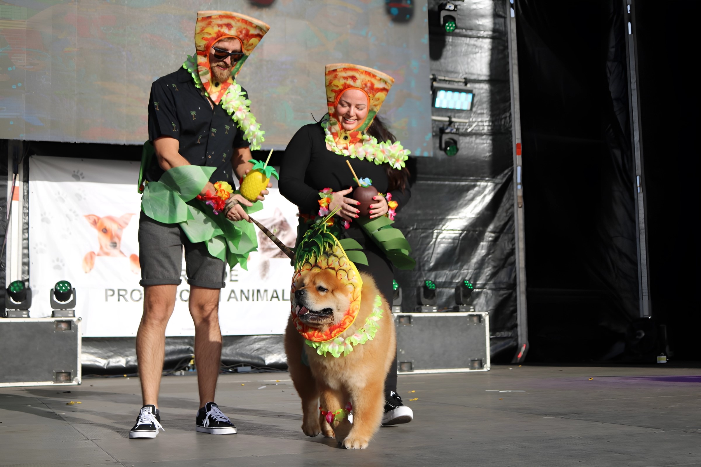Antony tercer premio del Carnaval Canino / CanariasNoticias.es