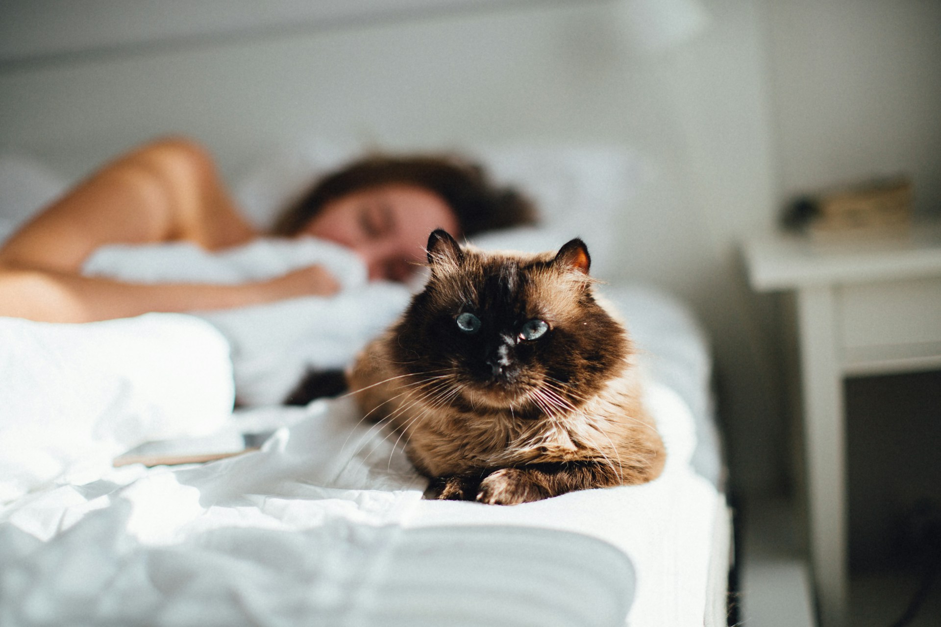Mujer durmiendo con un gato