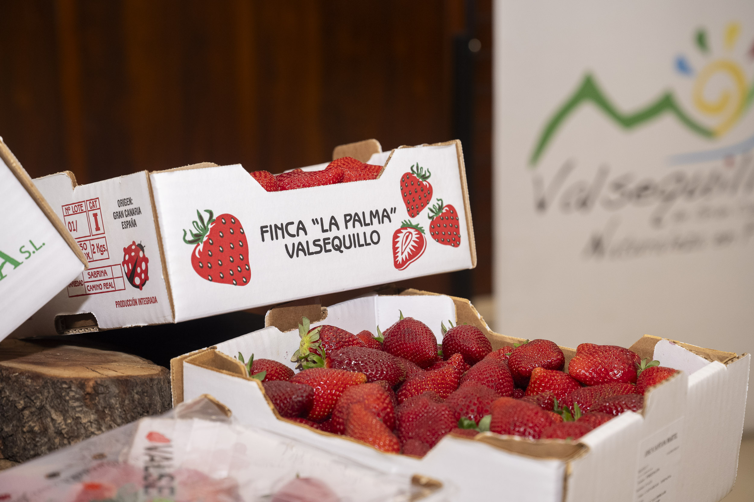 Fresas de Valsequillo / CanariasNoticias.es 