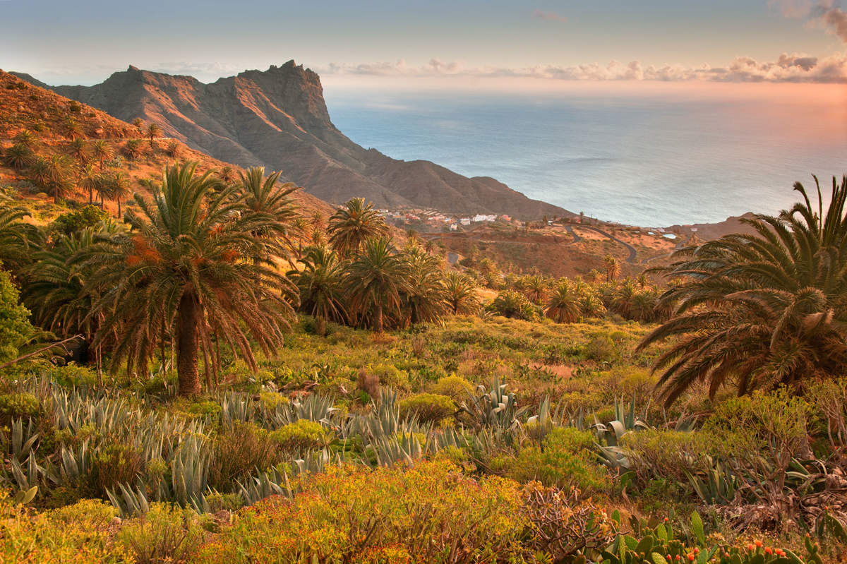 La Gomera / CanariasNoticias.es 