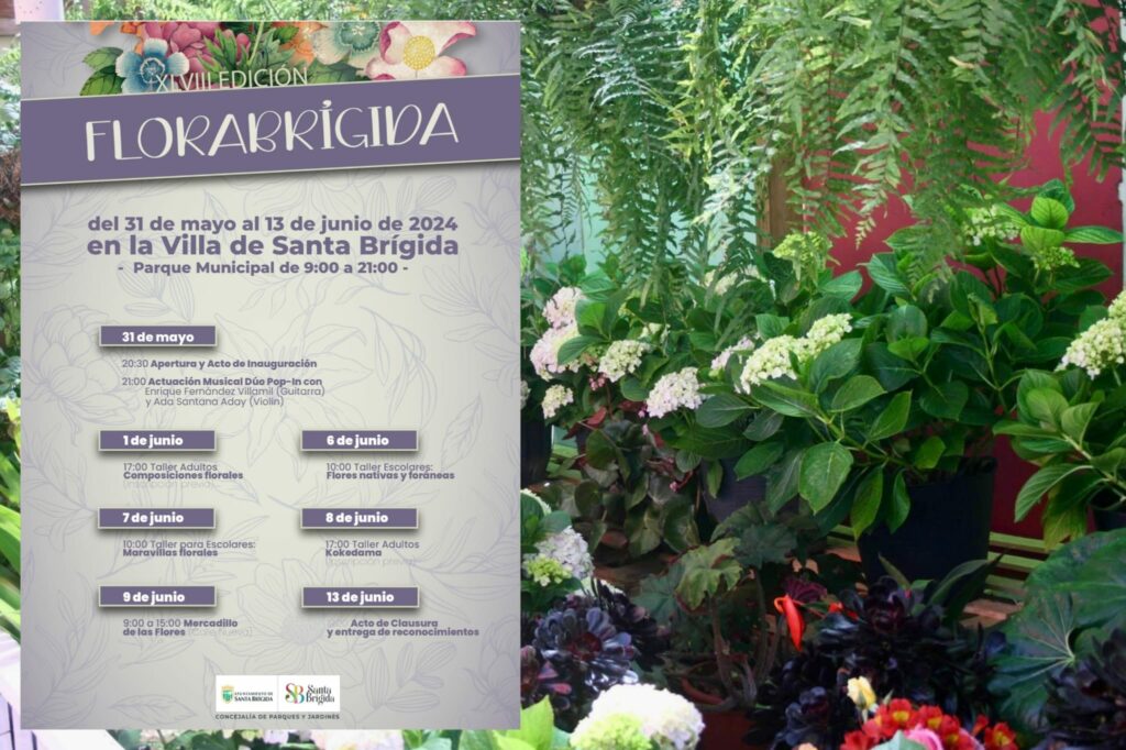 FloraBrígida / CanariasNoticias.es 
