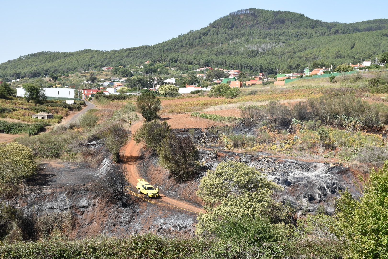 Incendio en El Rosario / CanariasNoticias.es 